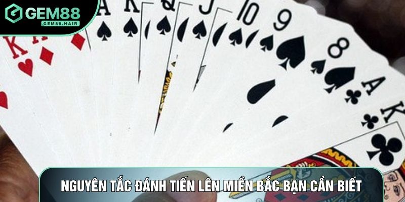 Nguyên tắc đánh tiến lên miền Bắc bạn cần biết