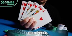 Tiến Lên Miền Bắc: Chiến Thuật Bẻ Khóa Luật Đồng Chất